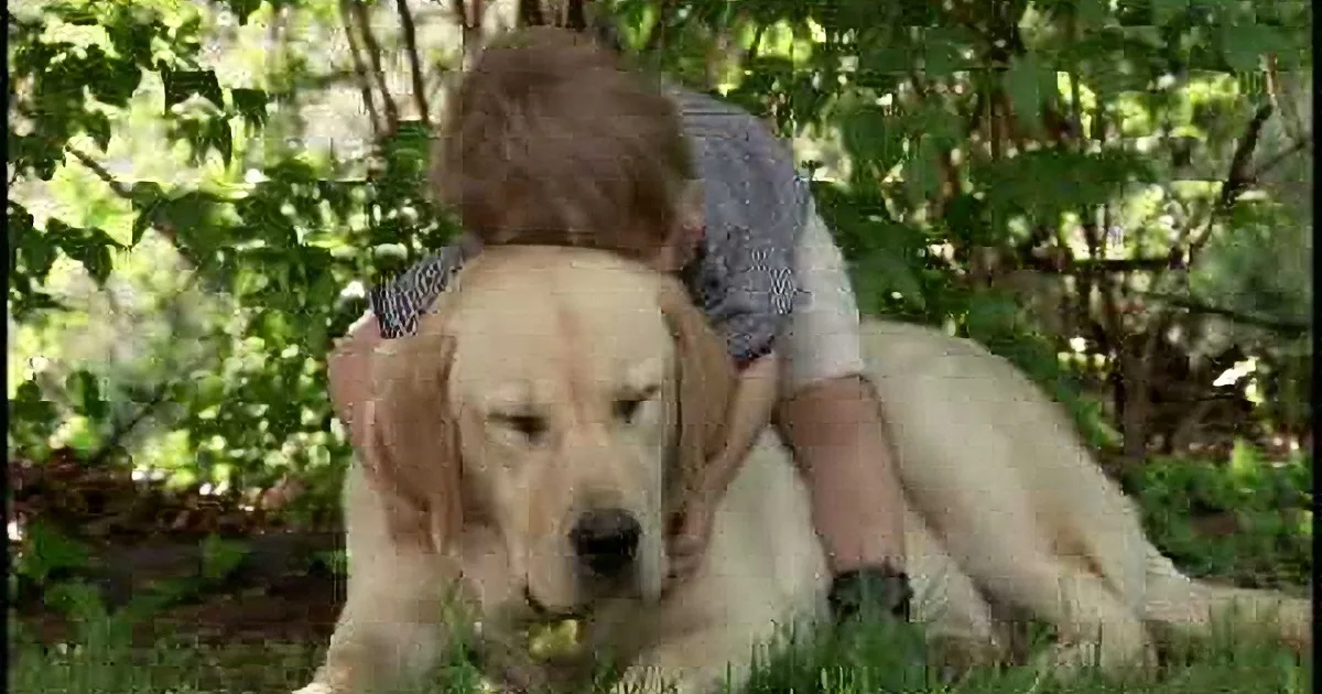 A golden retriever puppy is lying on grass, being petted by a person in a striped shirt.