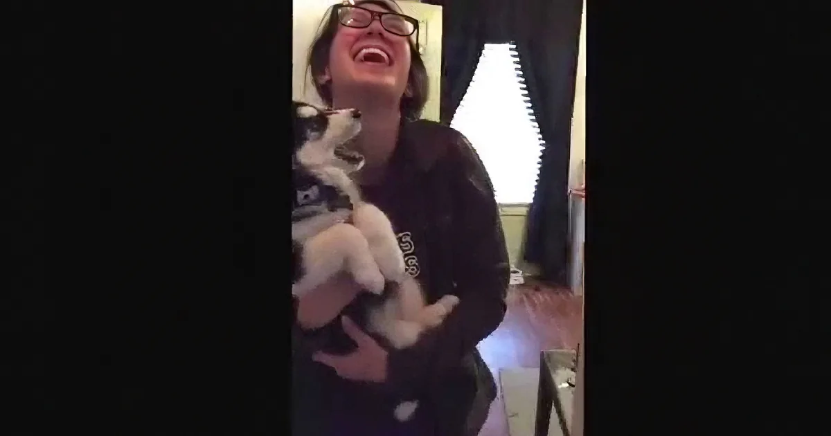 A person wearing glasses laughs while holding a small dog in a room with a lamp.
