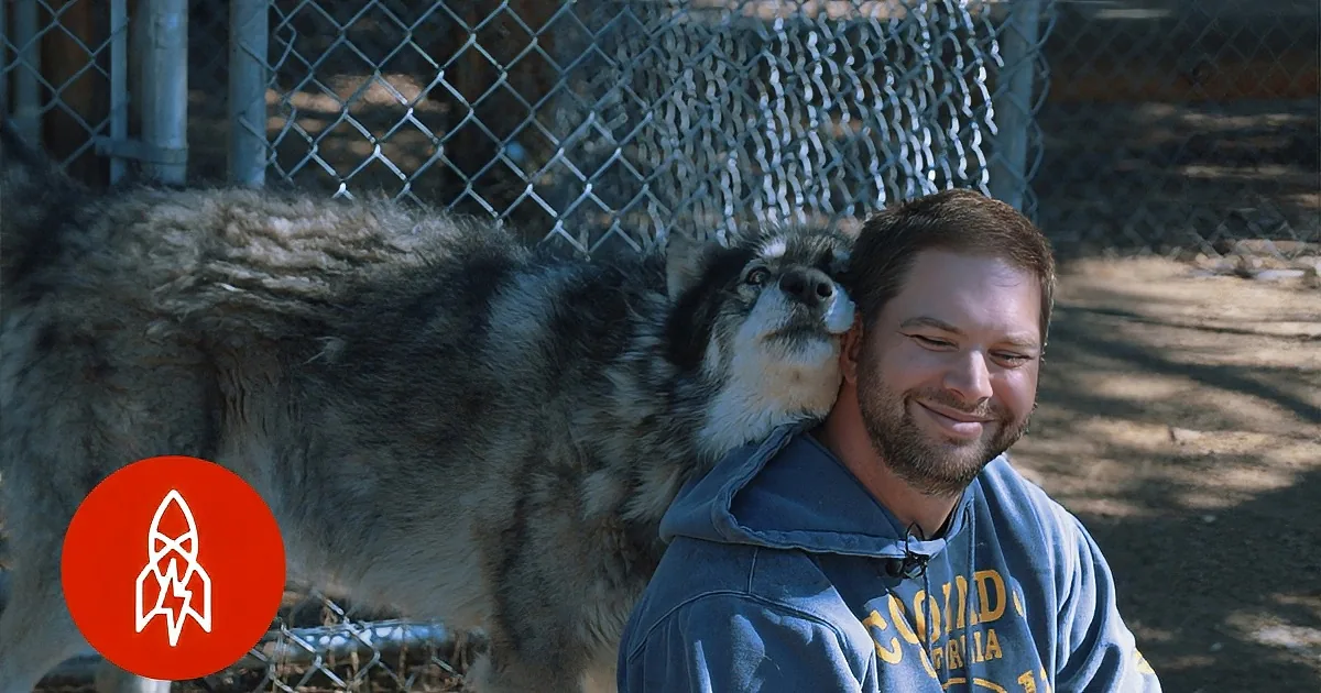 A man in a blue sweatshirt smiles as a large wolf-like dog leans its head on his shoulder.