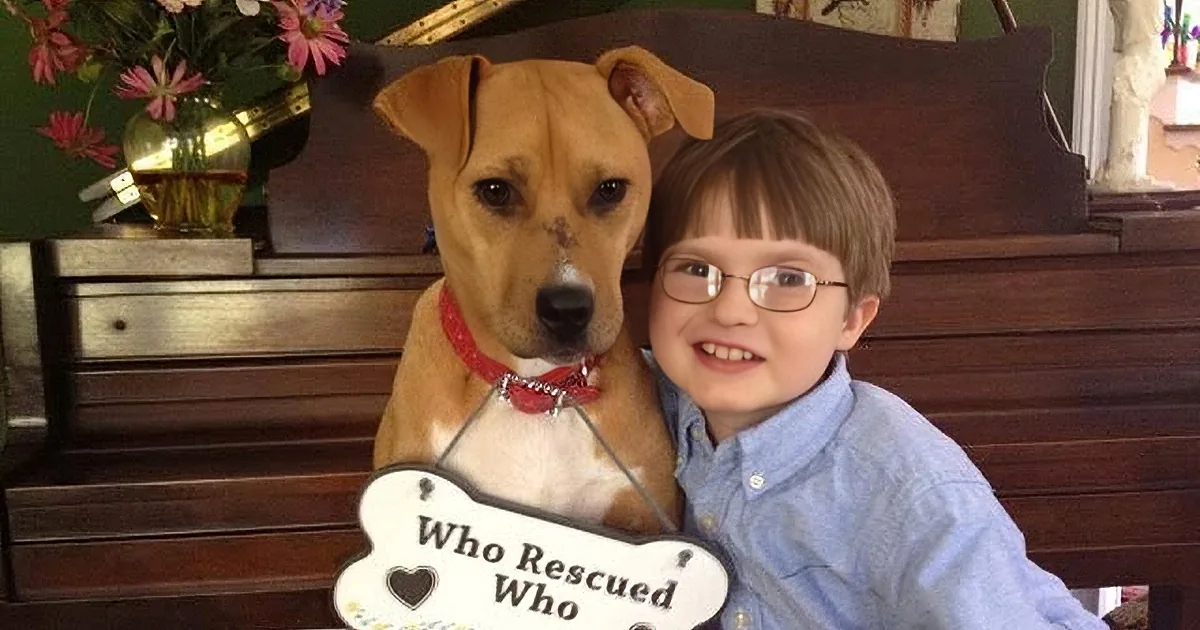 A boy and a dog sit together, the dog wearing a sign that reads "Who Rescued Who."