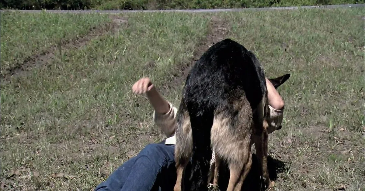 A person and a dog are lying on the grass in a field, with the dog partially covering the person's face.
