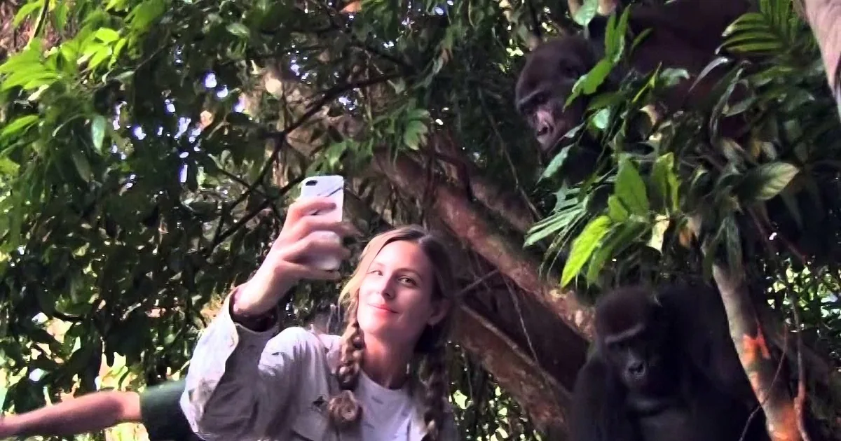 A person takes a selfie with a gorilla in the background amidst lush greenery.