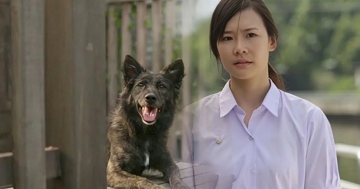 Girl and Dog Become Friends in This Foreign Ad. by the Time You Get to the End, You''ll Be in Tears!