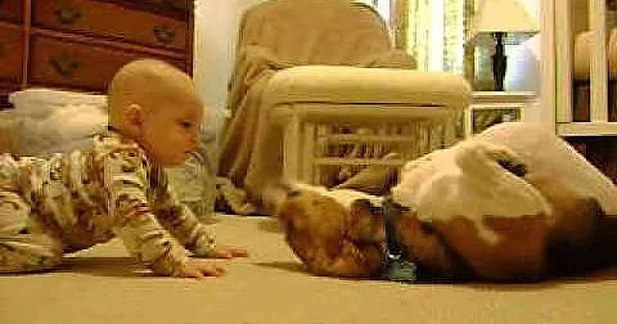 A baby in camouflage pajamas is crawling on a carpet, reaching out towards a small dog.