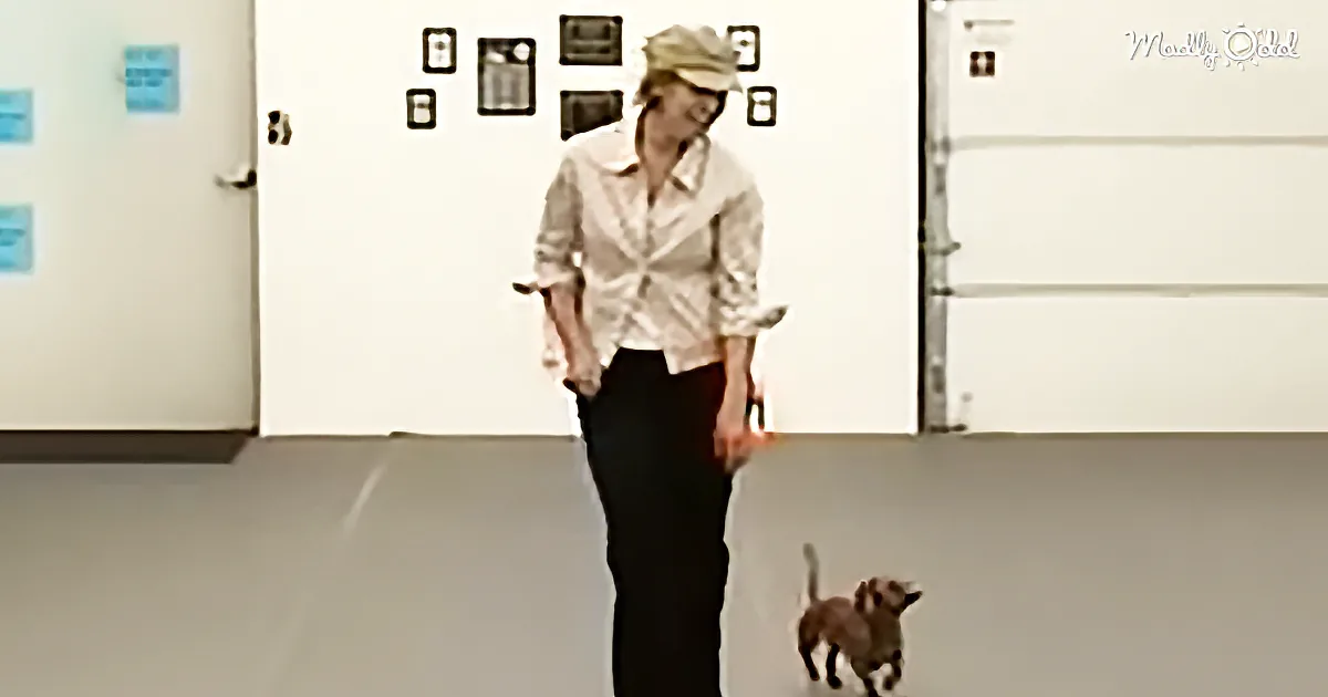She Started Dancing When Her Dog Stepped in - These Two Are Fantastic