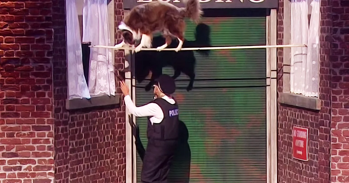 A police officer reaches up to a dog perched on a ledge above a brick building.