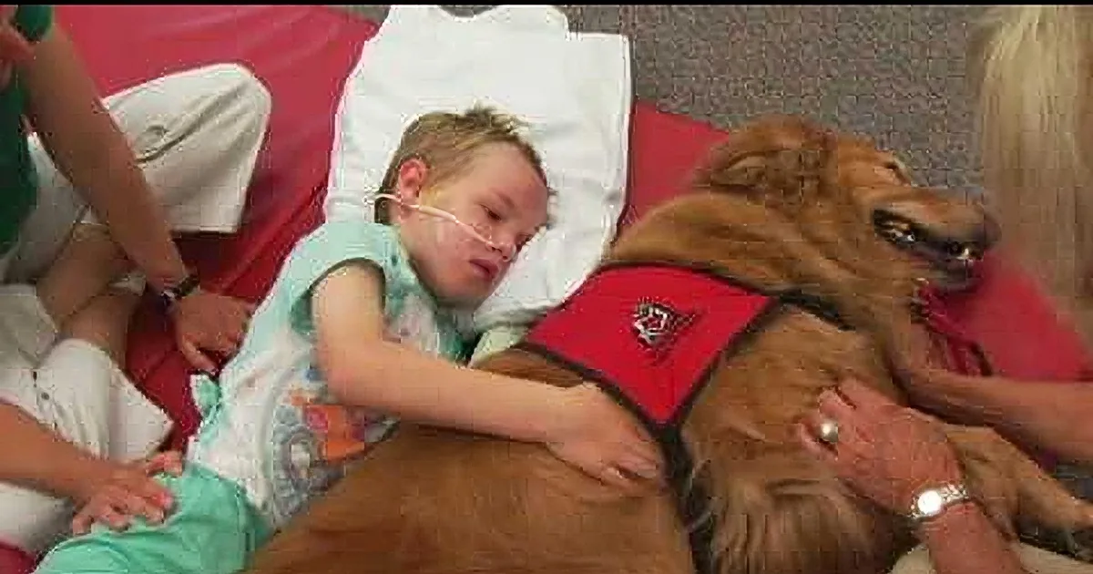 A child in a hospital bed, wearing a hospital gown, is lying down with a therapy dog, both appearing calm and comfortable.