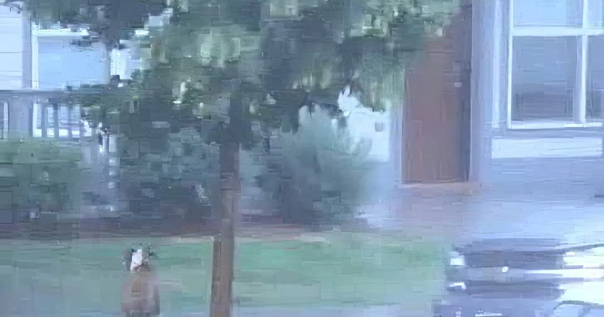 Dog Left out During a Thunderstorm. Until a Neighbor Went out to Save Him!