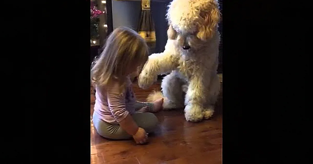 A young girl sits on the floor, interacting with a large, fluffy white dog.