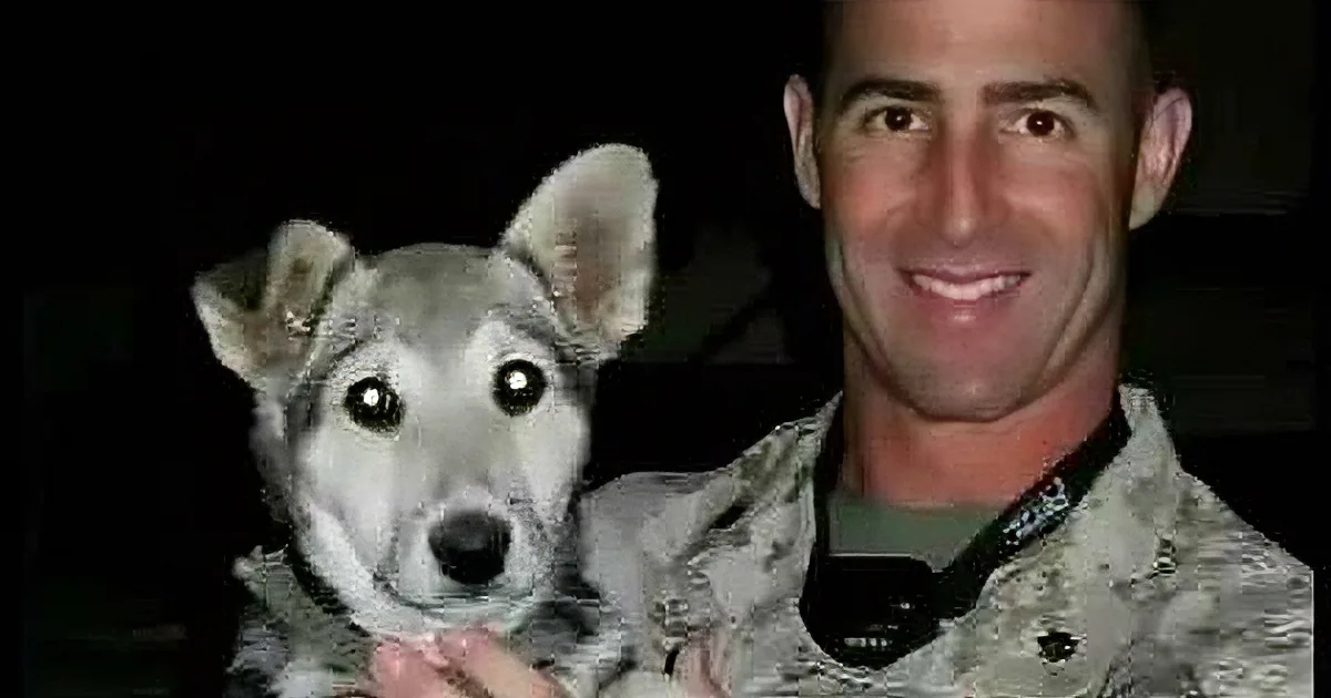 Watch This Uplifting Story of a Lt. Doing the Impossible to Adopt His Stray Puppy, Lava!