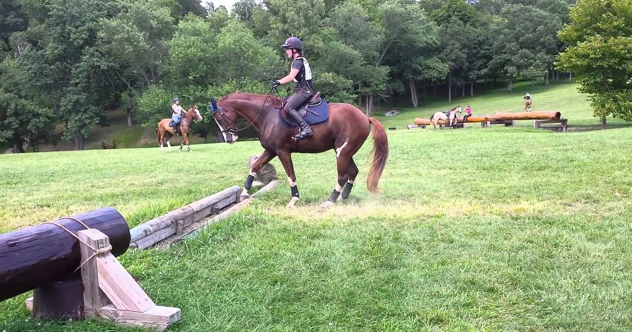A rider on a brown horse jumps over a wooden obstacle in a grassy field.