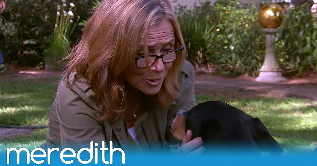 She Stops Her Car to See This Puppy. What She Hands Her Owner? I Am Speechless!