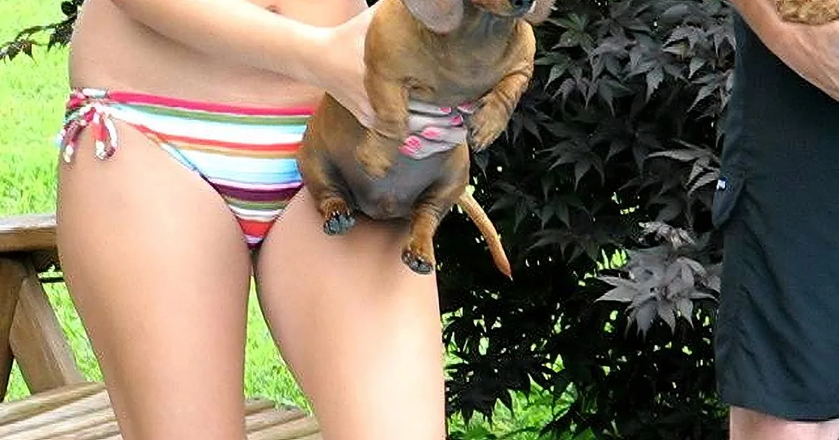 A person in a bikini holds a small dog wearing sunglasses, with greenery in the background.