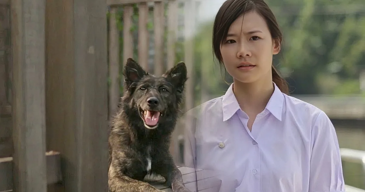 A person in a white shirt stands next to a dog wearing a white shirt, both looking at the camera.