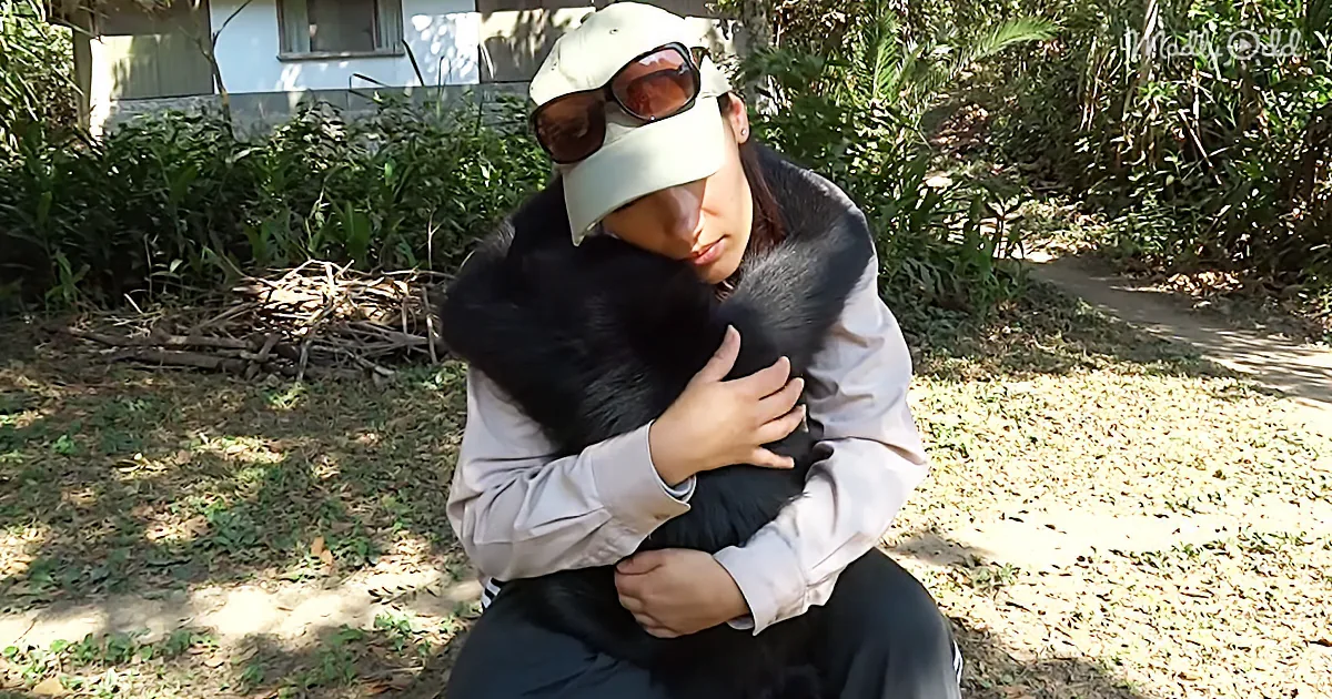This Spider Monkey Sits Quietly on Her Lap - What Happens at :20 Is Incredible!