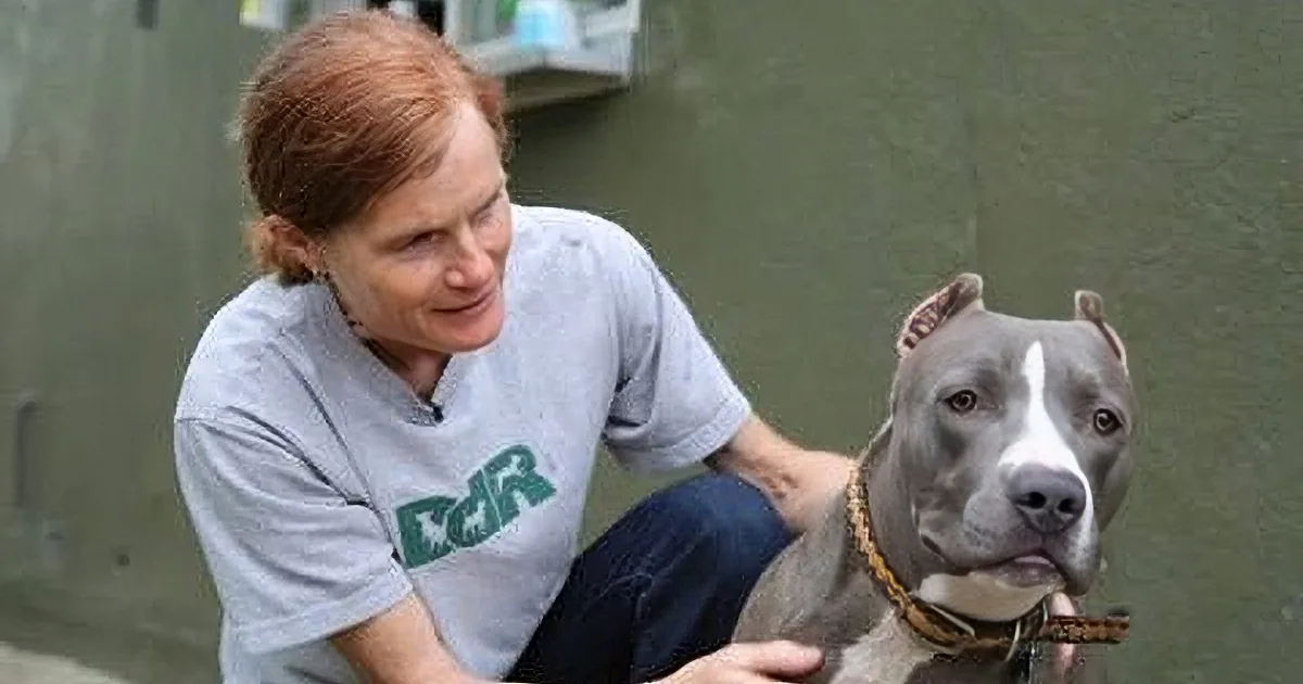 A person in a gray shirt with "D&R" logo is holding a dog with a blue collar.