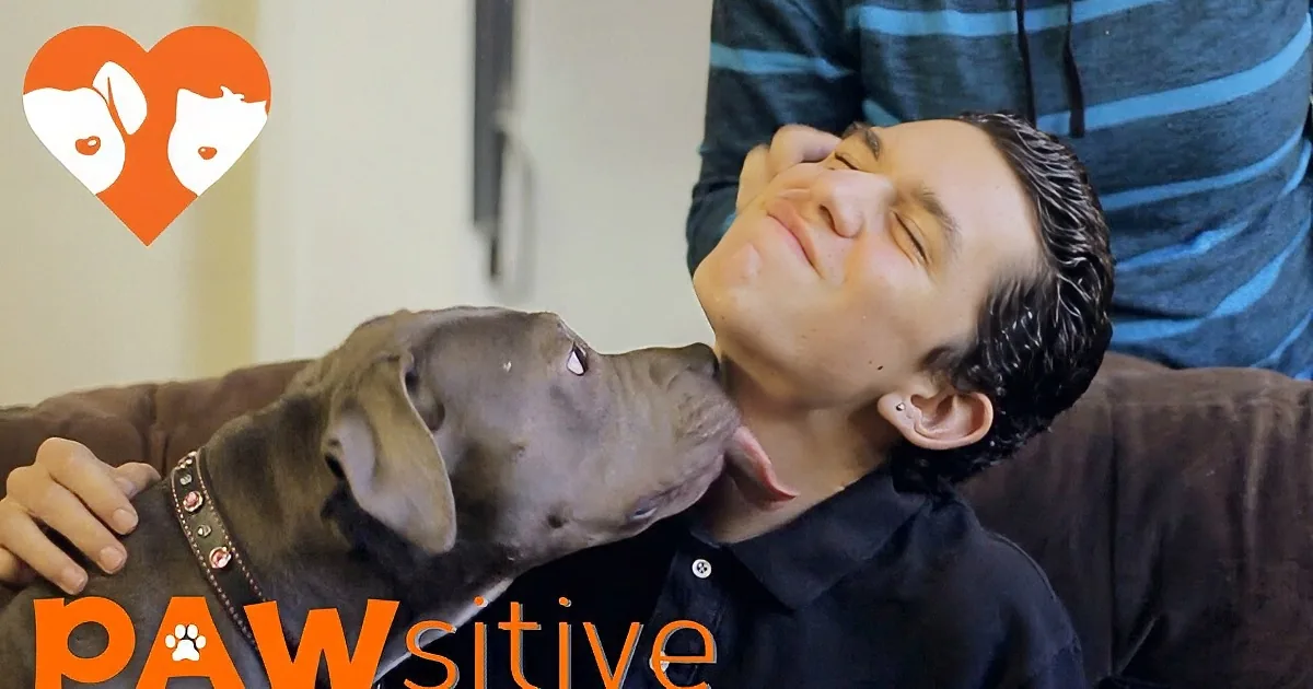 The Boy on the Right Refuses to Take His Mom''s Hand...Watch What the Pit Bull Did!