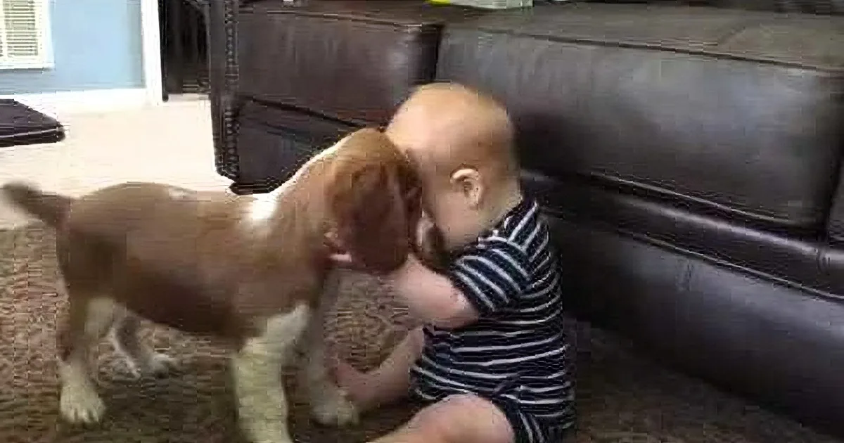 A baby in striped pajamas sits on a couch, playfully interacting with a brown and white puppy.