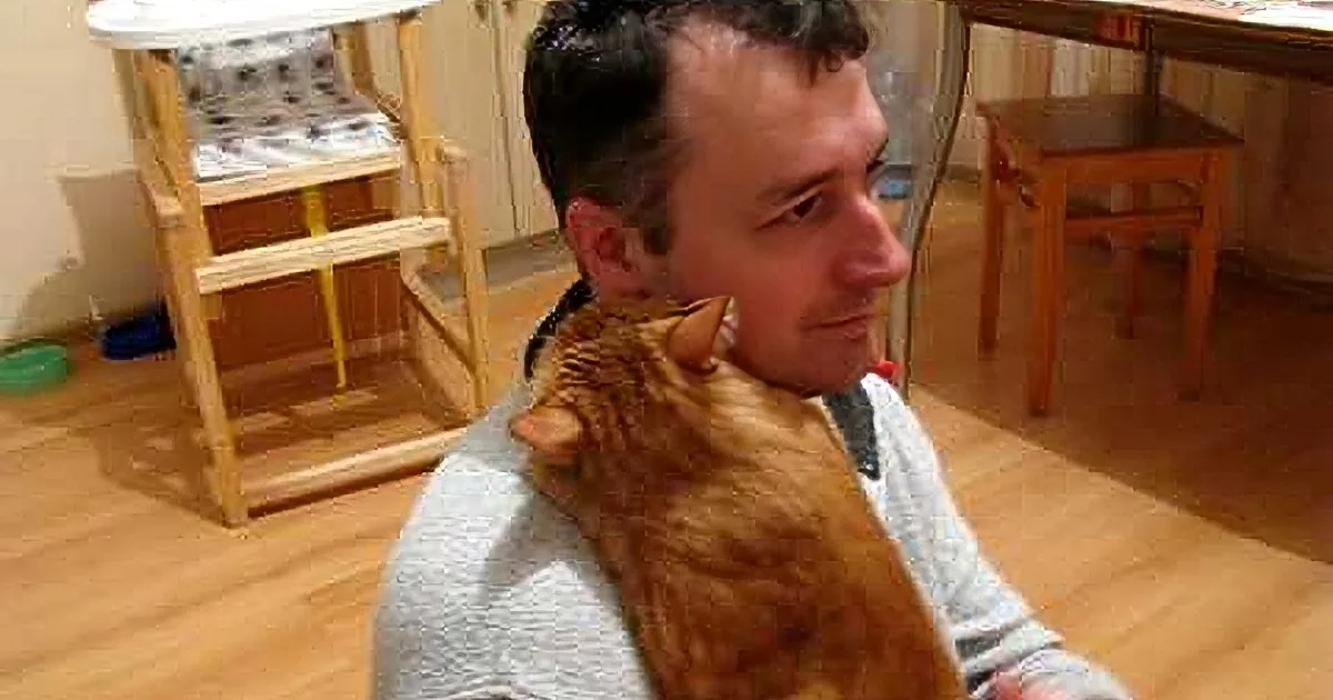 A man with a ginger cat draped over his shoulder in a cozy indoor setting.