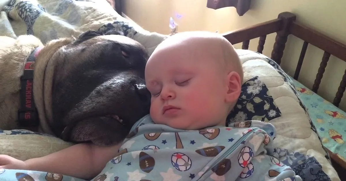 A baby and a dog are cuddling on a bed, both appearing to be asleep.