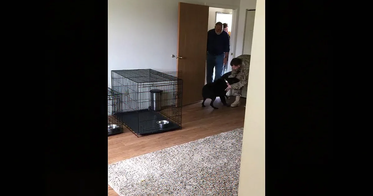 A person in military uniform pets a black dog near a crate in a doorway.