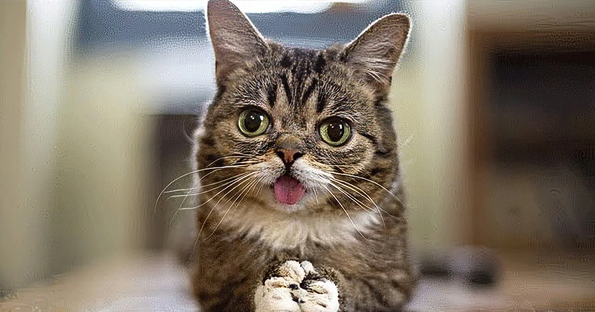 A tabby cat with green eyes and a pink tongue is licking its lips, standing on a wooden floor.