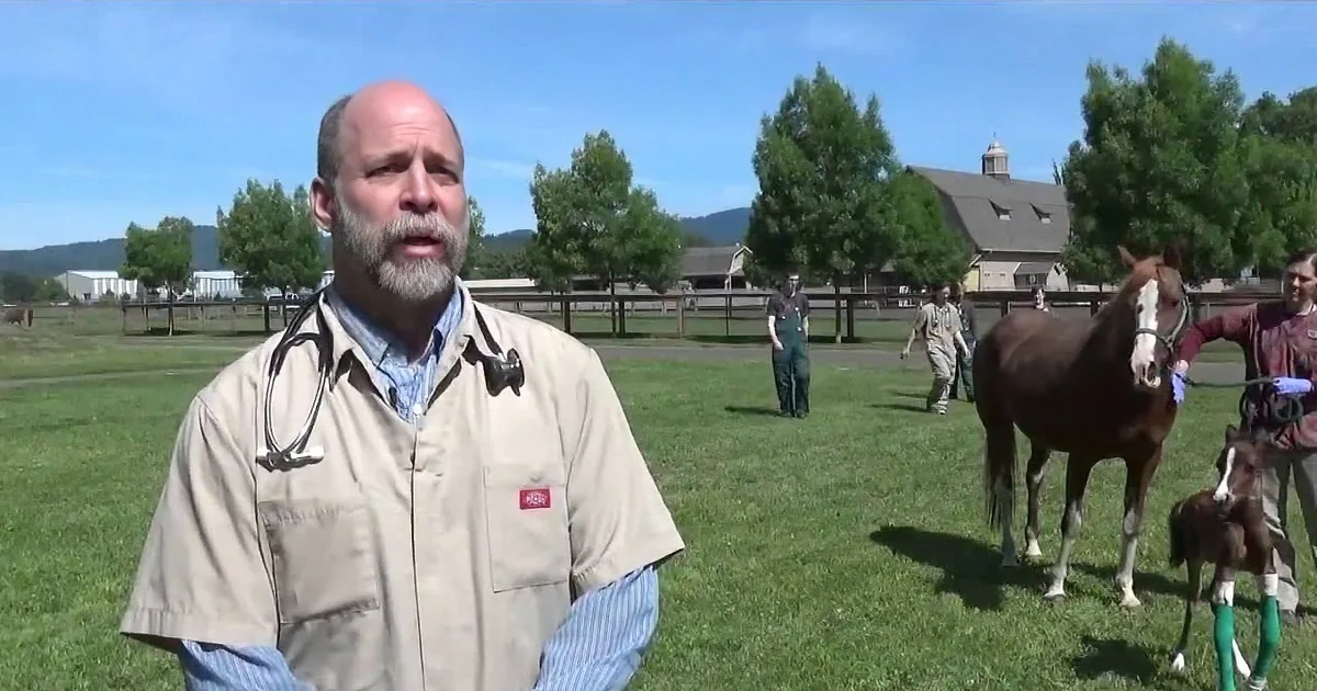Incredible Twin Foals Are Born at Oregon State University