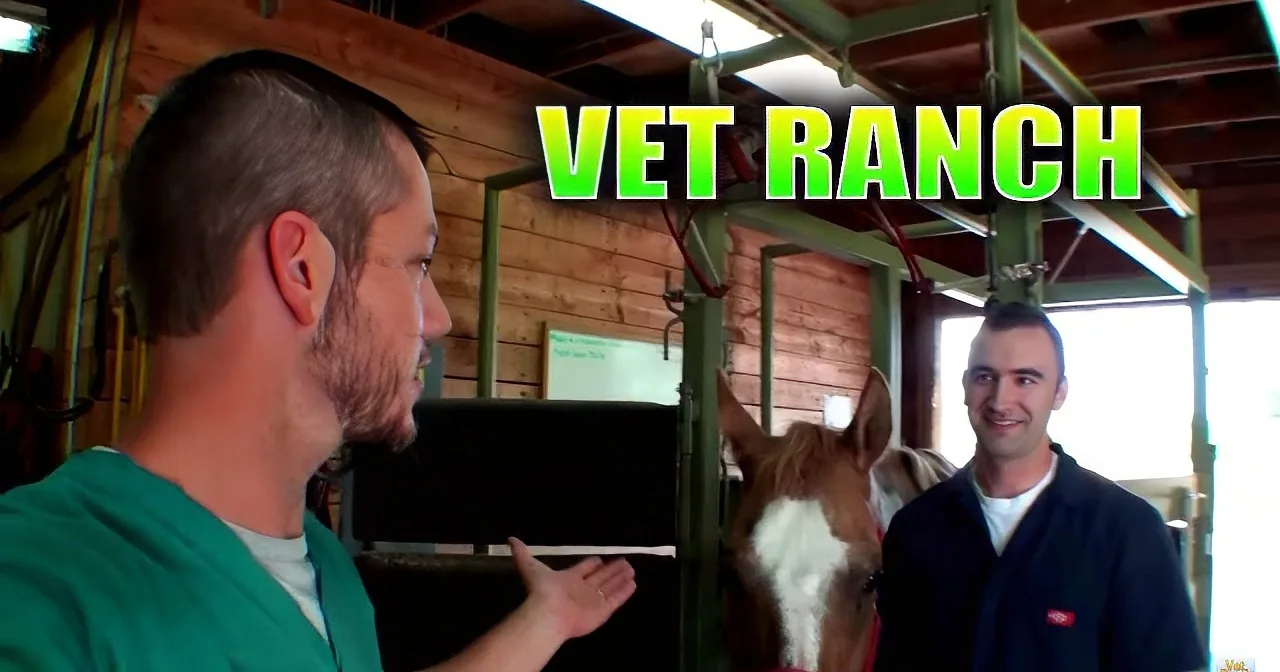 A man in a green shirt gestures while talking to another man in a barn setting with horses.