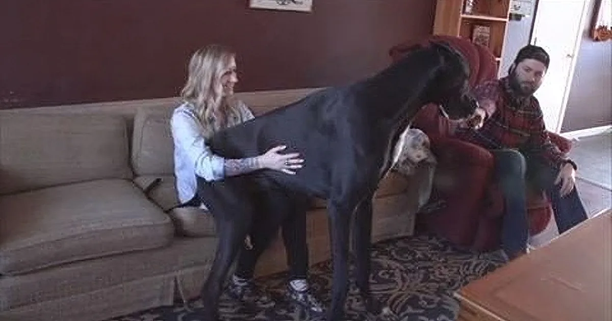 A woman holds a large black dog while another person sits nearby on a couch in a living room.