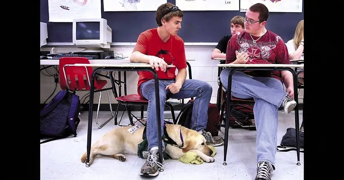 A dog lies under a desk in a classroom, partially obscured by a student's legs.