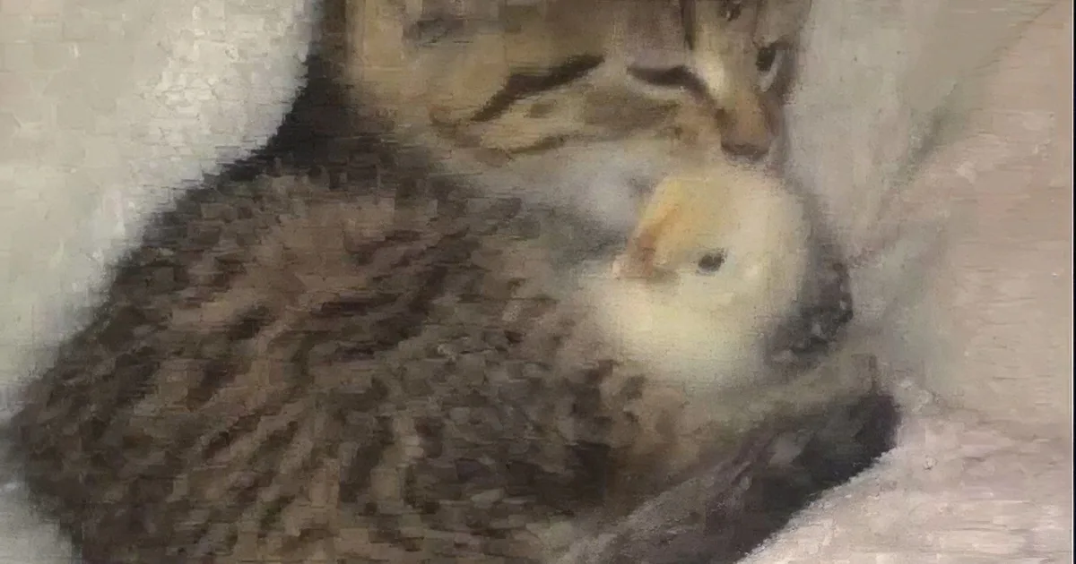 A tabby cat cuddles a small yellow chick in a cozy blanket.