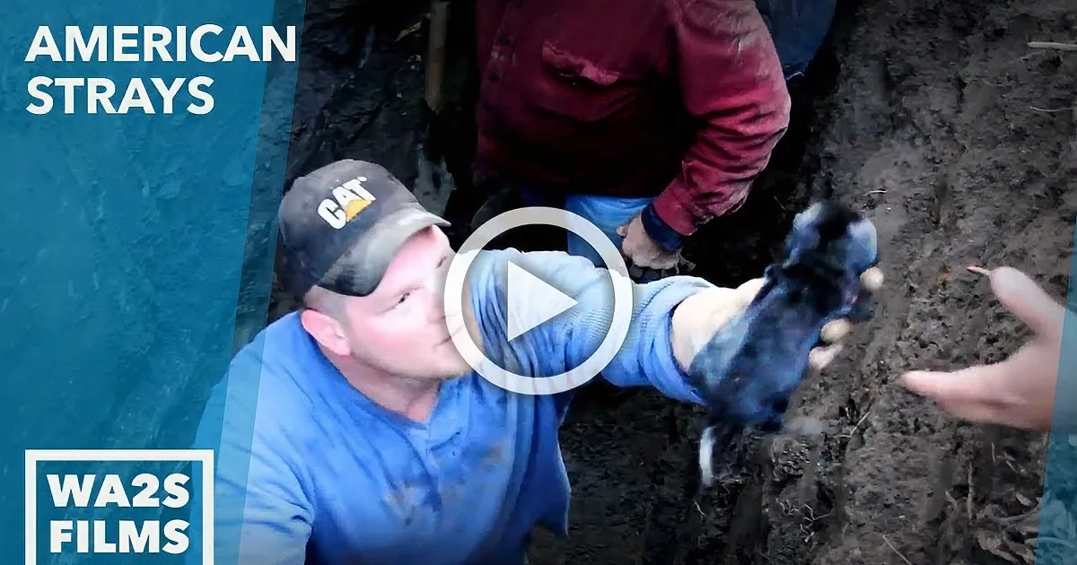 A man in a blue shirt and black cap holds a small black puppy while another person reaches out to take it.