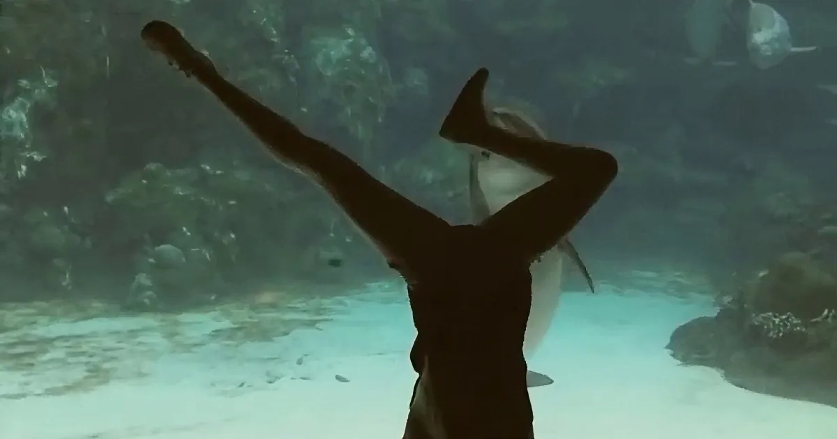 This Girl Grabs the Attention of One Dolphin, but What Follows Is Truly Heart-Warming