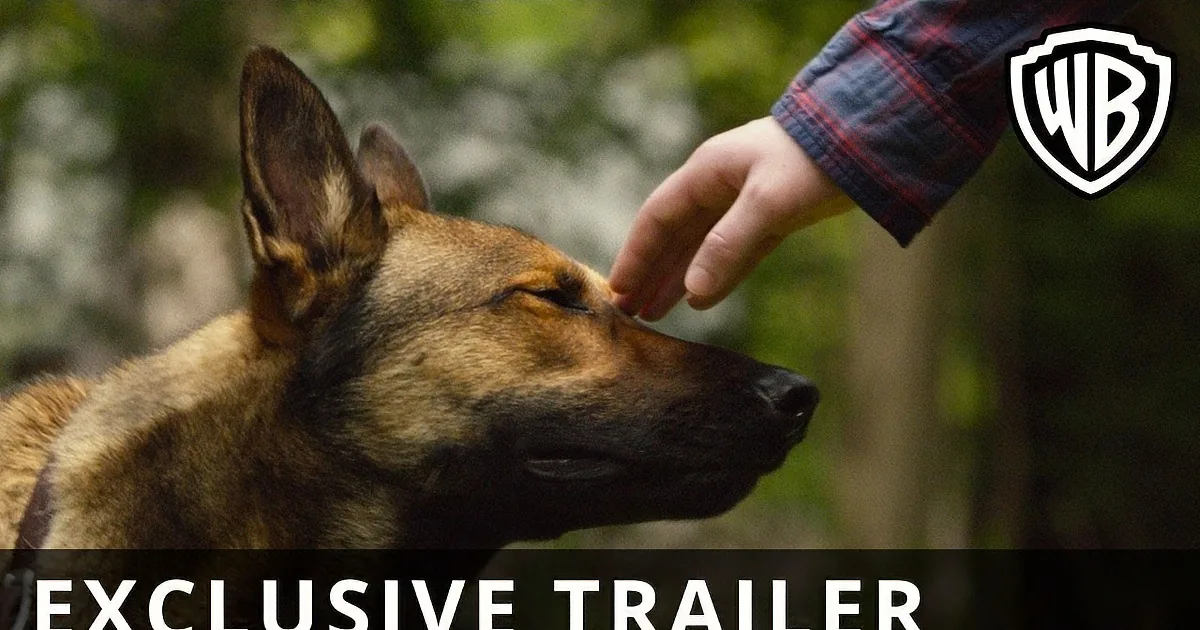 A German Shepherd dog is being petted on the head by a person in a plaid shirt.