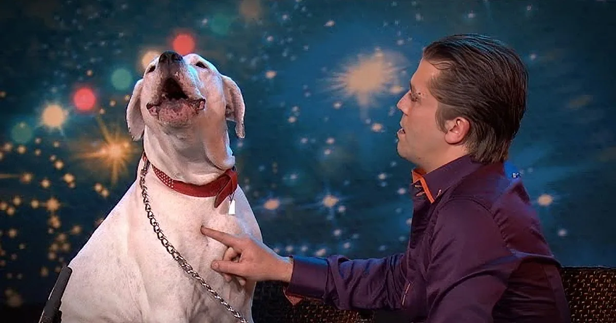 A man in a purple suit pets a white dog with a red collar against a starry background.