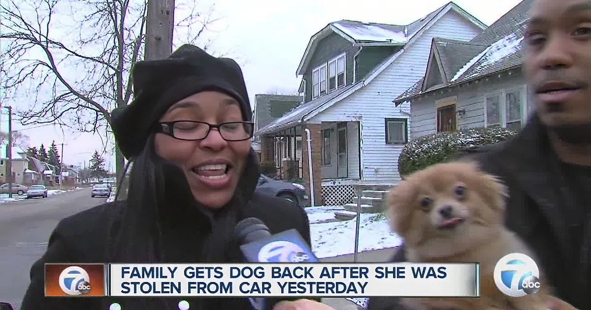 A woman holds a dog while a news reporter interviews, with a subtitle about a dog being returned after theft.