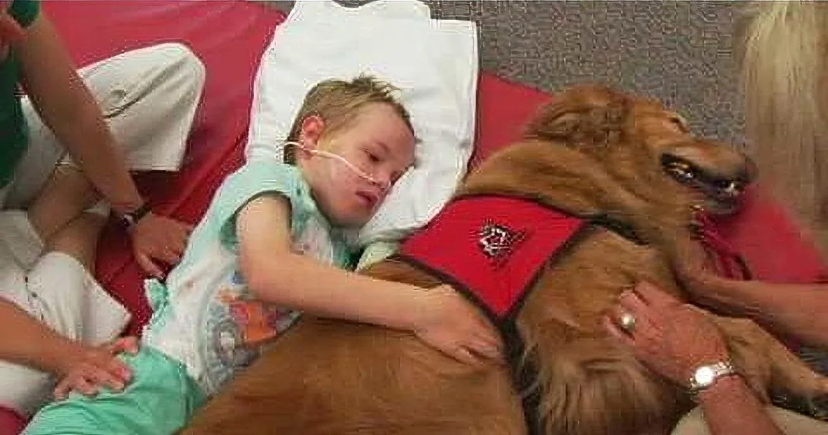 A child in a hospital bed, wearing a hospital gown, is interacting with a therapy dog wearing a red vest.