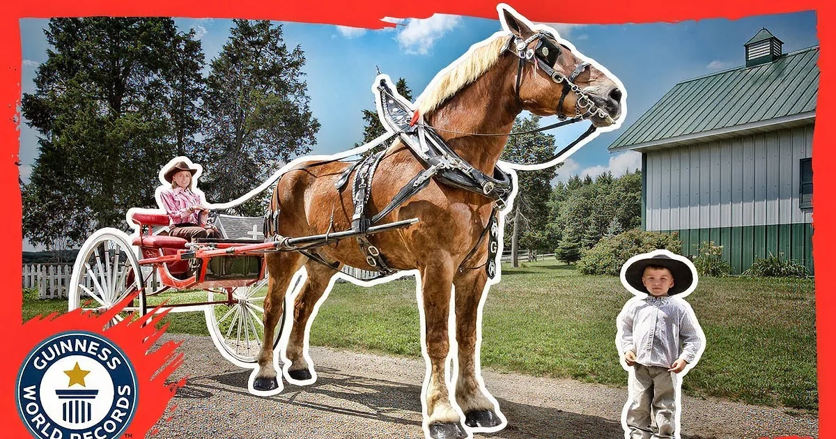 A young boy stands beside a large draft horse pulling a carriage, with a Guinness World Records logo in the background.