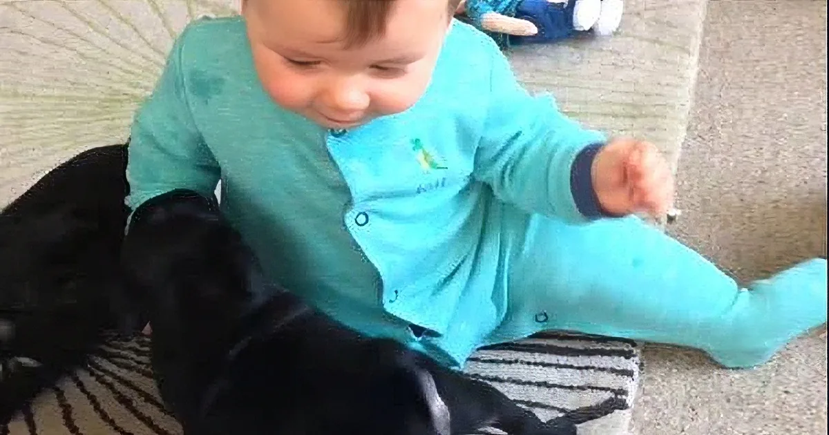 A baby in a blue onesie sits on a carpet, interacting with a black dog.