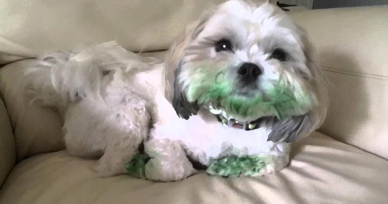 A fluffy white dog with green paint on its face and paws sits on a beige couch.