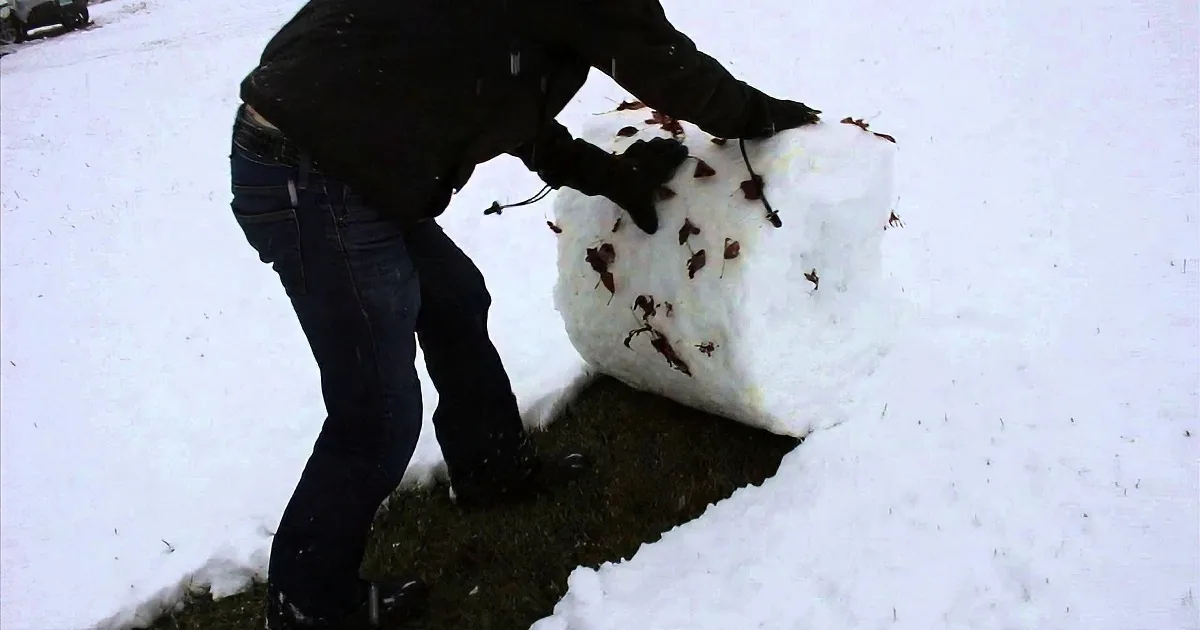 A person in jeans and a black jacket is rolling a large snowball on a snowy ground.