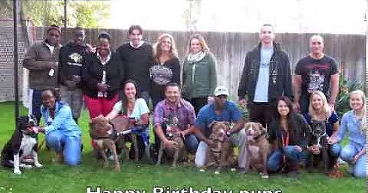 Group of people and dogs celebrating a birthday outdoors, smiling and posing together.