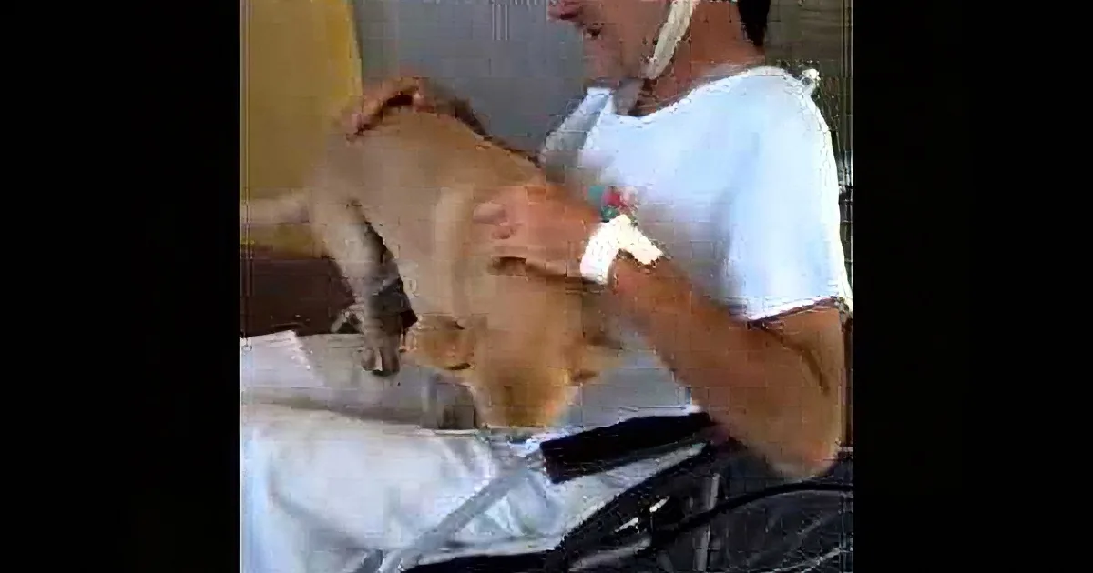 A man in a white shirt pets a light brown dog on a white blanket.