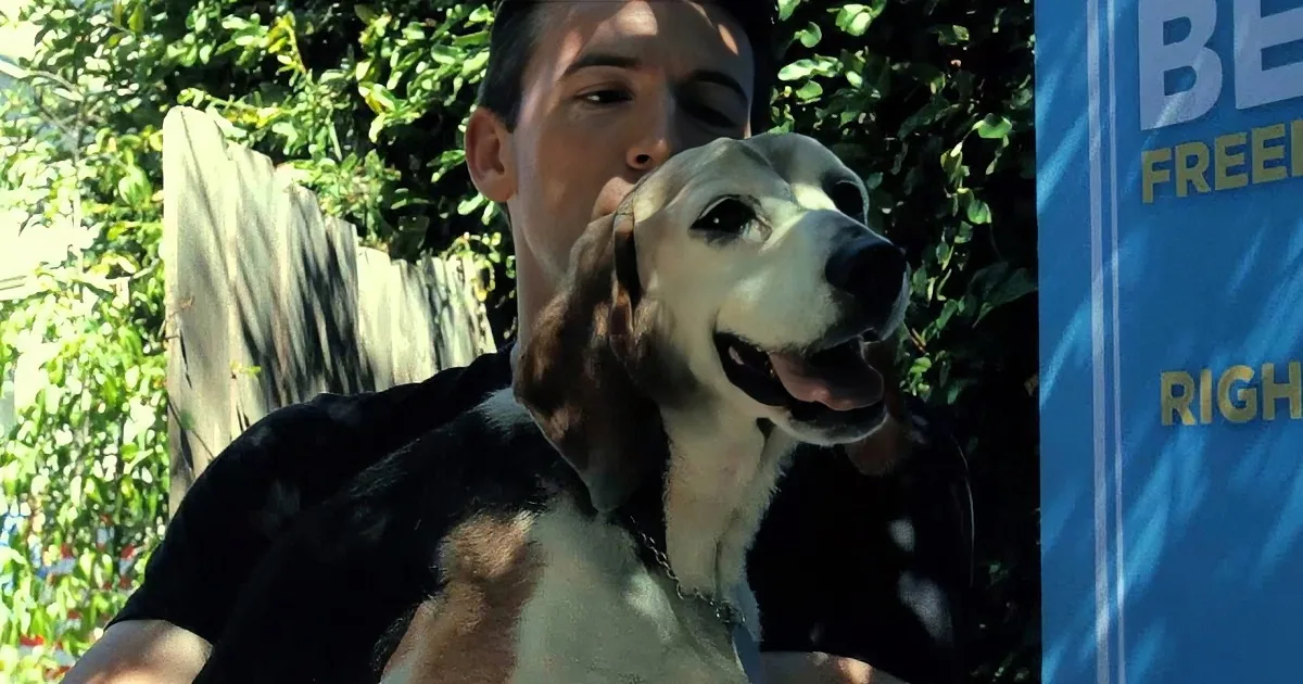 A man holds a happy beagle dog outdoors, with a sign in the background.