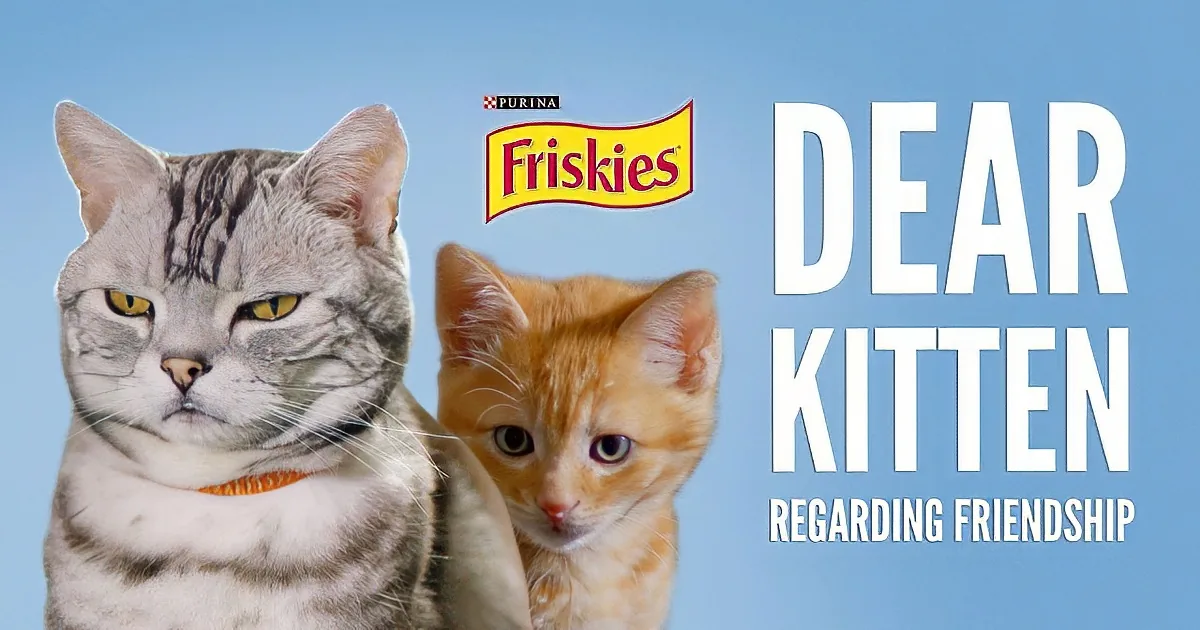 A Purina Friskies ad featuring two cats, one gray and one orange, with the text "Dear Kitten Regarding Friendship."
