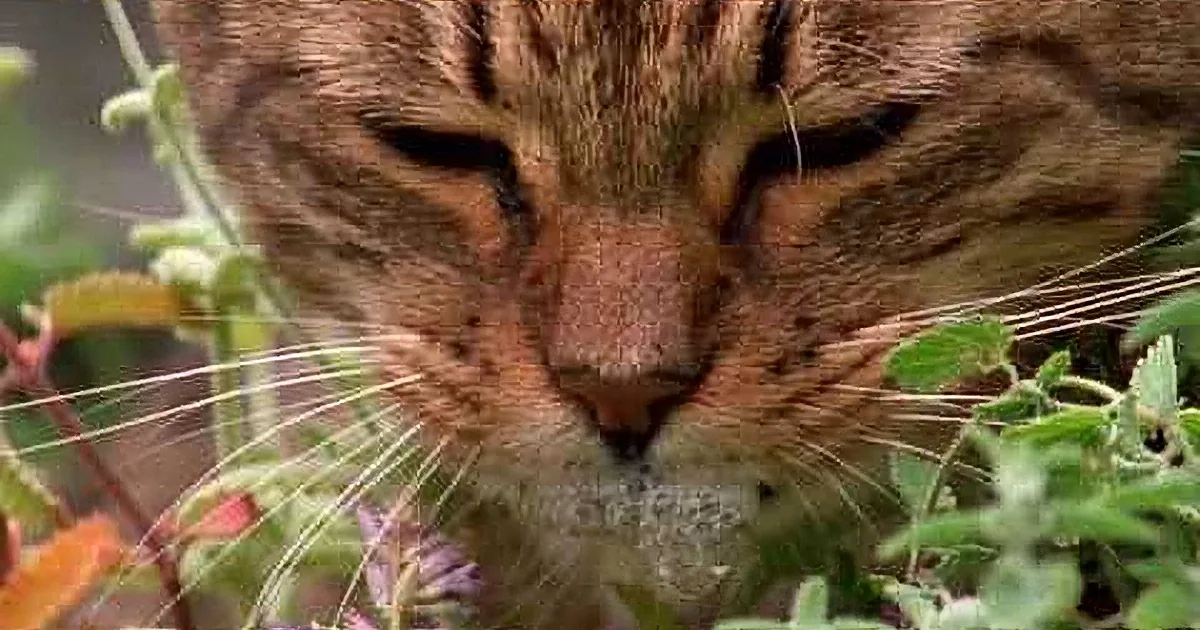 A close-up of a cat's face surrounded by greenery and small purple flowers.