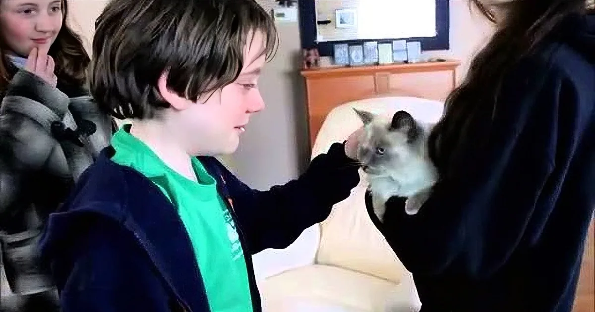 A young boy in a blue jacket is interacting with others, possibly in a home setting.
