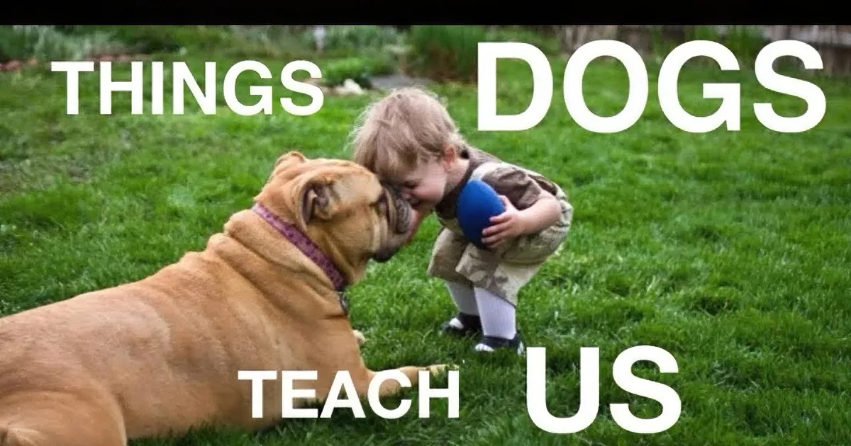 A child and a dog share a playful moment on grass, with text overlay saying "THINGS DOGS TEACH US."