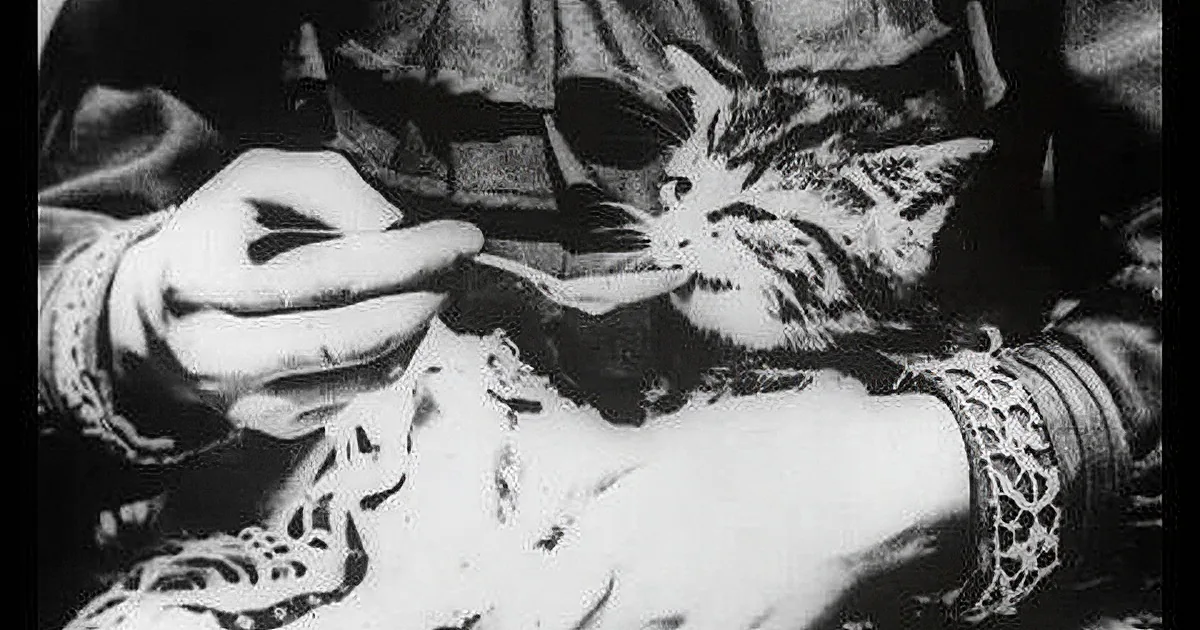A person in ornate clothing holds a cat, which is being fed from a spoon.
