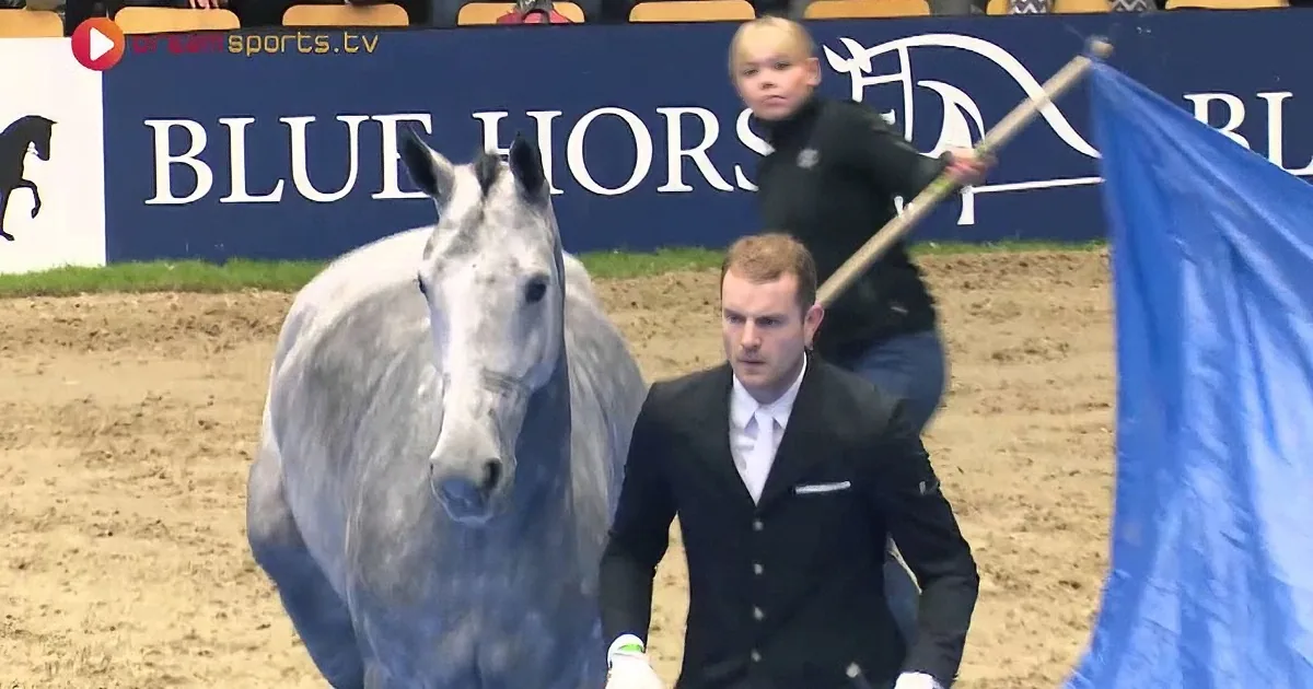 A white horse and rider in formal attire are in an arena, with a person holding a blue flag in the background.